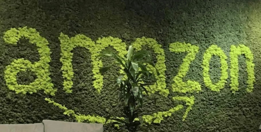 Amazon OA 面经 |亚麻OA | 亚马逊笔试 | 亚马逊代面试 | Amazon VO辅助